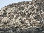 Bild 7 von 11