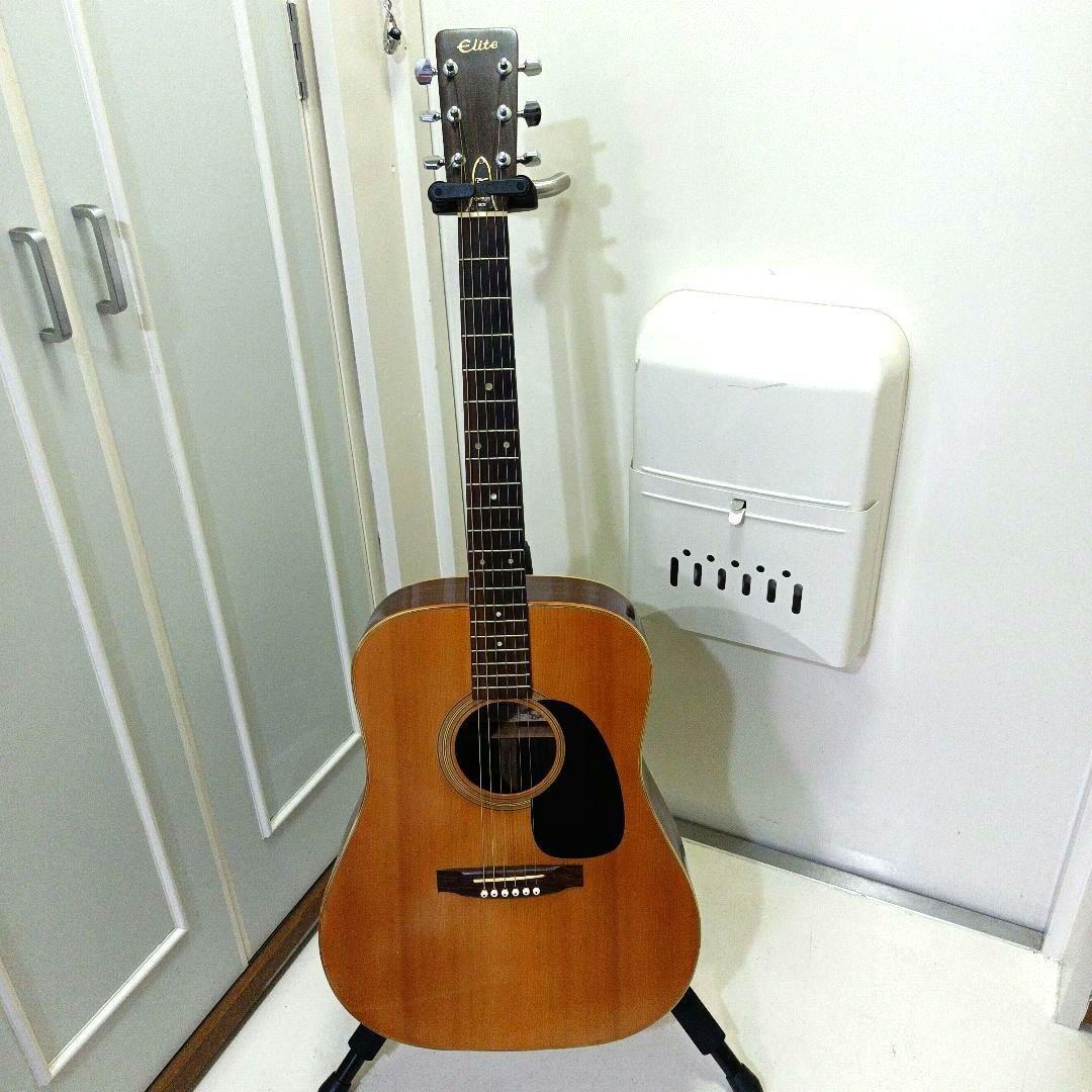 Takamine Elite Guitar | eBay