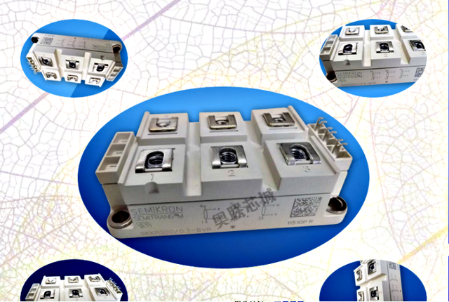 SFTSVFEO SKKR300/0.2-BVR SKKR400/0.2-BVR SKKR200/0.2-BVR