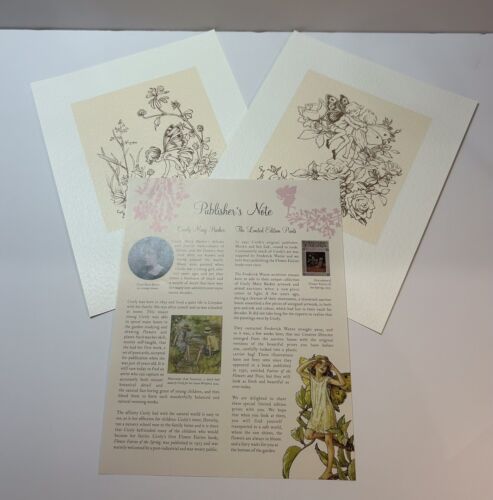 The Complete Book Of The Flower Fairies Cecile Mary Barker- Boxed - Picture 3 of 13