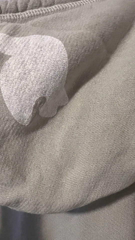 Sudadera con Capucha Free City Verde Salvia Cremallera Completa Capucha Pájaro Gráfico 3 Foto 3 de 4