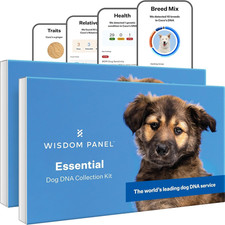 Ultimate Dog DNA Kit: 365 Breeds, Health Traits Ancestry - 2 Pack