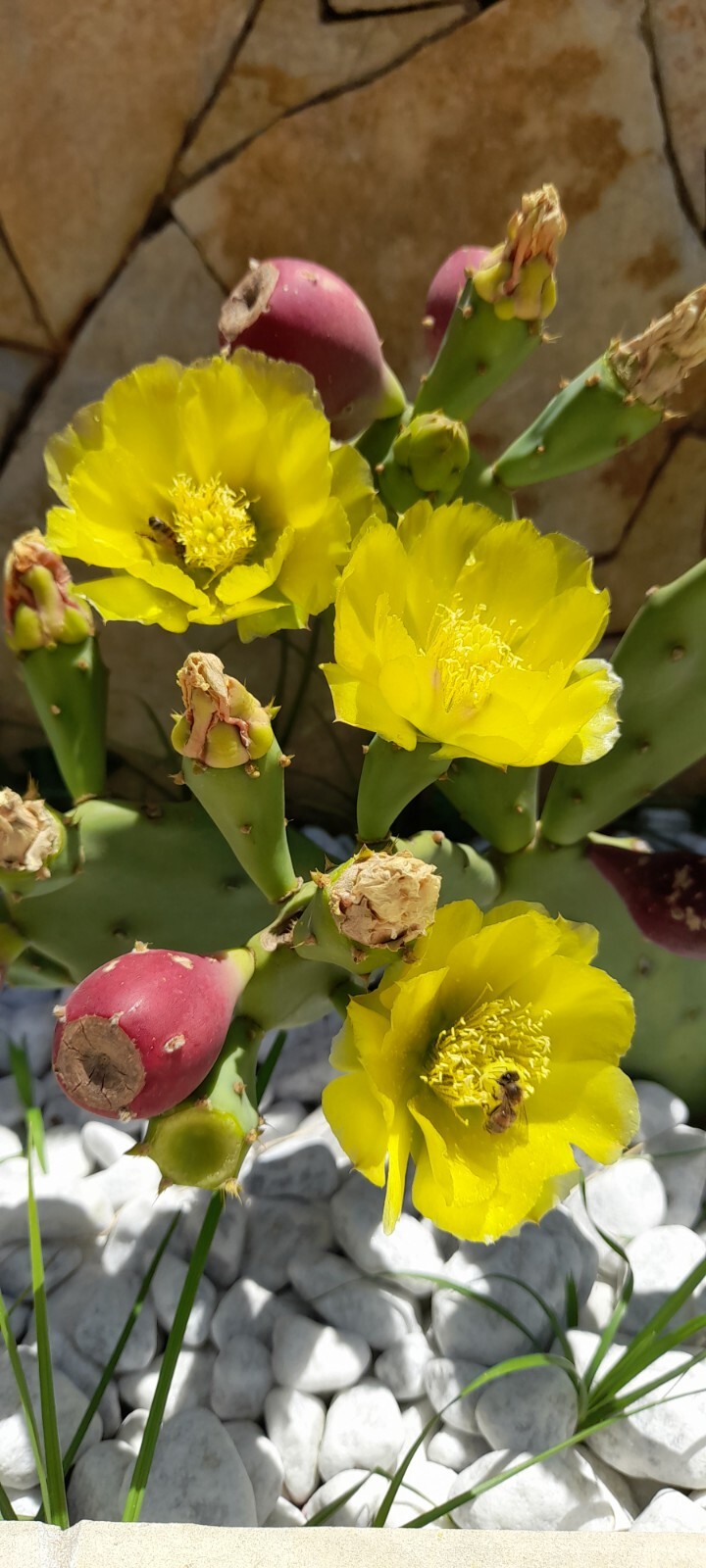 Foto 3 di 7