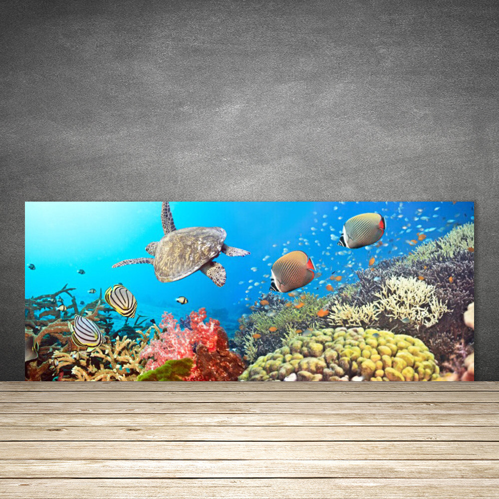 Crédence de cuisine en verre 125x50 cm fond de hotte motif récif de corail