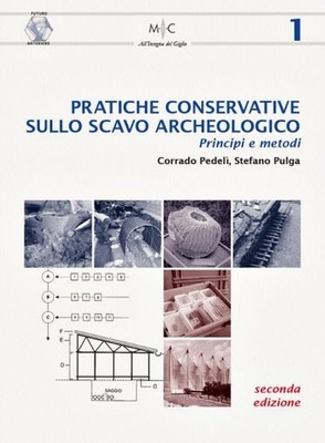 Konservierungspraxis bei archäologischen Ausgrabungen. Prinzipien und Methoden