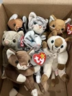 ✨Vintage Ty Beanie Babies Cats Only Lot Of 7
