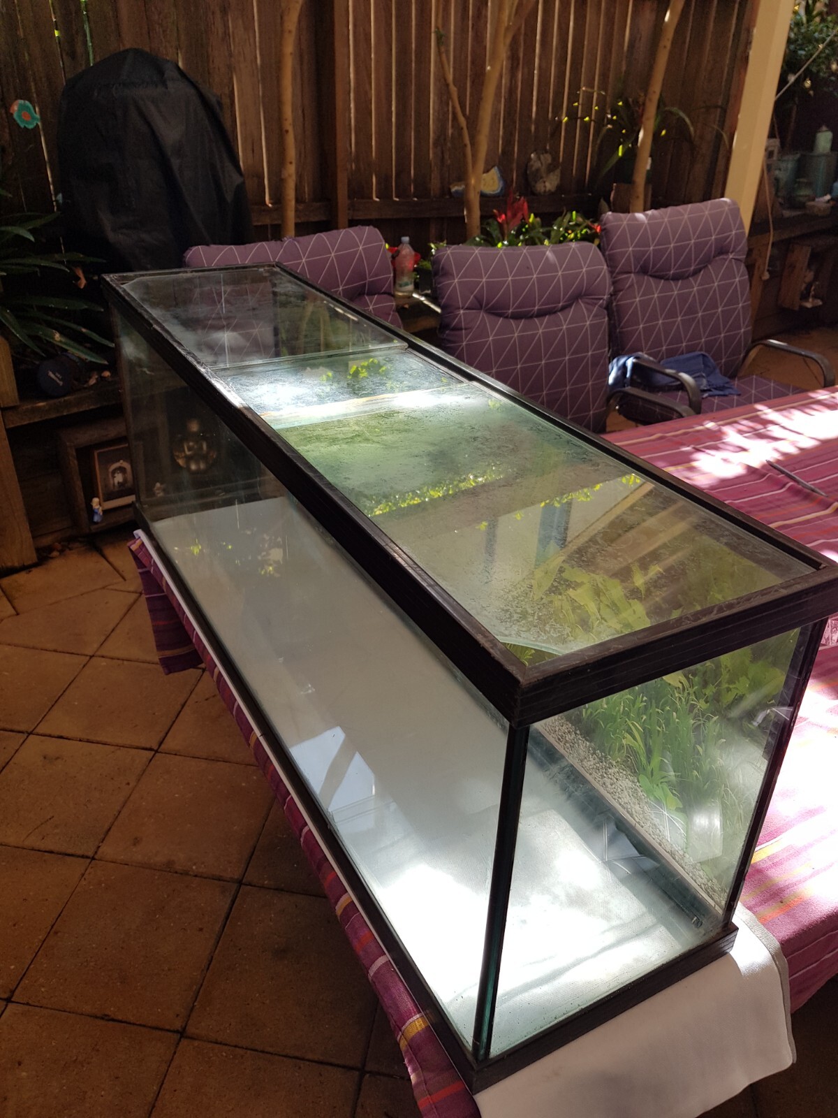 used aquarium tanks eBay