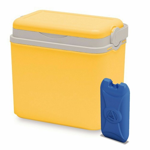 10L Colorful Camping Cooler Box Beach Picnic Travel Insulated Coolbox 1 Ice Pack - Picture 7 of 18
