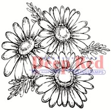 Deep Red Stamps Daisies Rubber Cling Stamp
