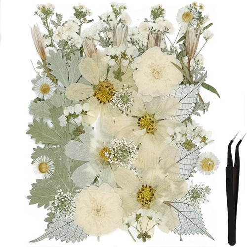 50Pcs Large Dried Pressed Flowers for Resin Molds, Real Dry Natural