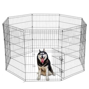 36 exercise pen