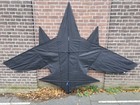 Afbeelding 3 van 13