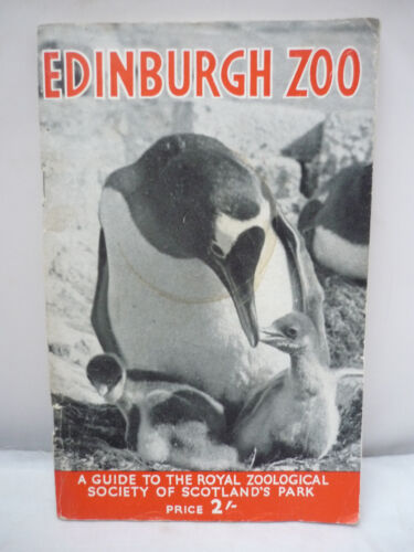 Edinburgh Zoo Guide  - Illustrated - Afbeelding 1 van 7