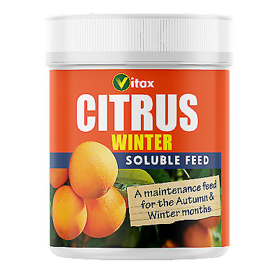 3 x Vitax Citrus Winter Feed 200g Balanced Soluble Fertilizer for Optimal Growth - Image 3
