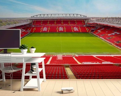 3D Anfield Stadium Self-adhesive Removeable Wallpaper Wall Mural