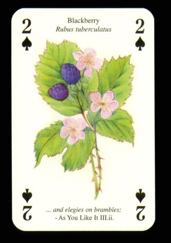 1 x playing card Shakespeare flower Blackberry 2 of Spades Q80 - Afbeelding 1 van 3