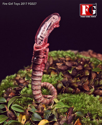 Fire Girl Toys 1/6 Chestburster Alien passend für 12'' Figur Display Einsatz Modell Spielzeug 