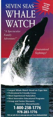 7 Seas Whale Watch, Gloucester MA, Brochure