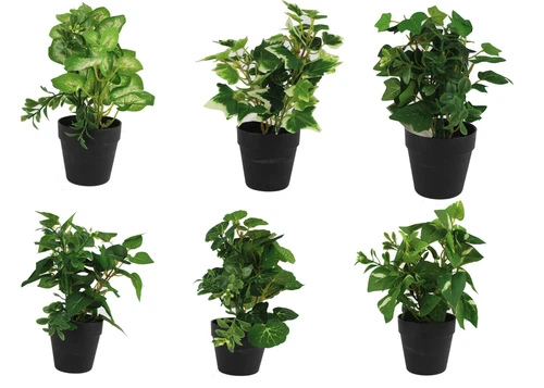 6 types artificial plant mini tree in black pot - artificial tree artificial flower artificial grey