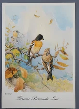 1963 Ocean Monarch Furness Bermuda Line St Georges Finch Bird Ship Menu Cruise