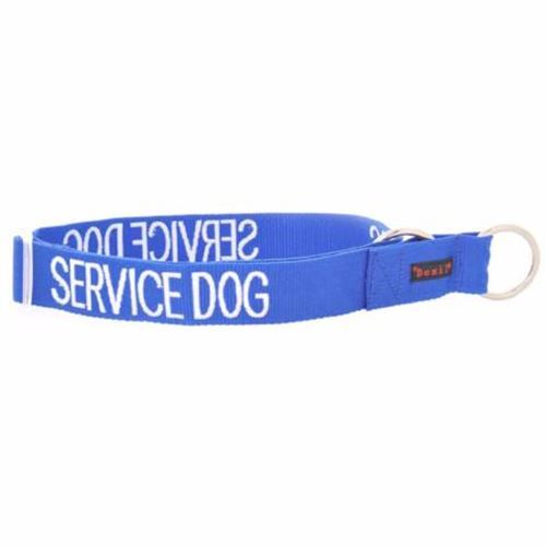 SERVICE DOG - Blue L/XXL Embroidered Semi Slip Dog Collar - Picture 1 of 1