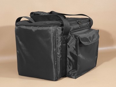 Maßgefertigte gepolsterte TASCHE für Marshall 2525H Mini Silver Jubilee...