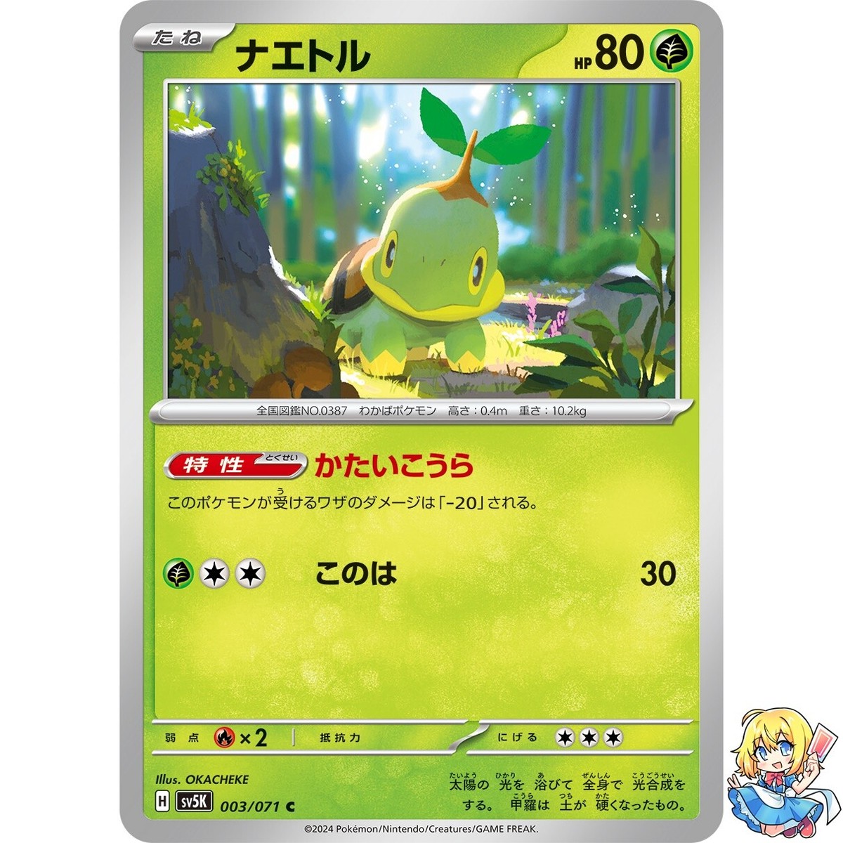 Turtwig C 003/071 Wild Force sv5k 2024 Pokemon Card Japanese | eBay