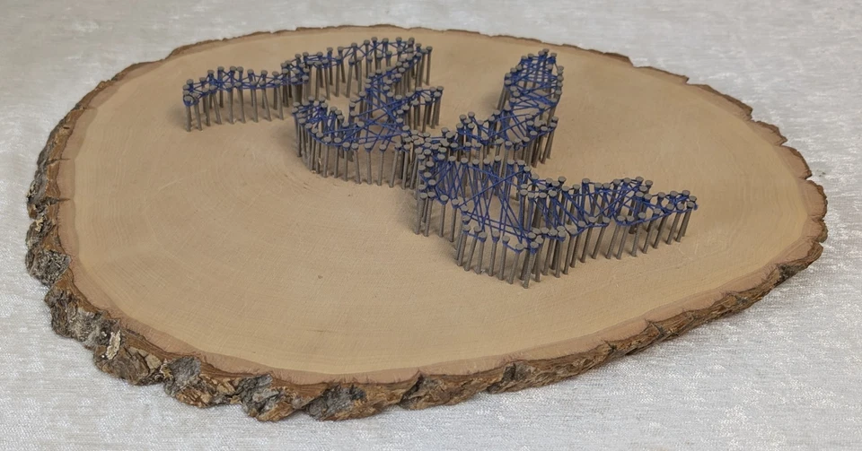 Arte en cuerda de Great Lakes Michigan en rebanada de madera natural hecho a mano decoración de pared rústica Foto 3 de 4