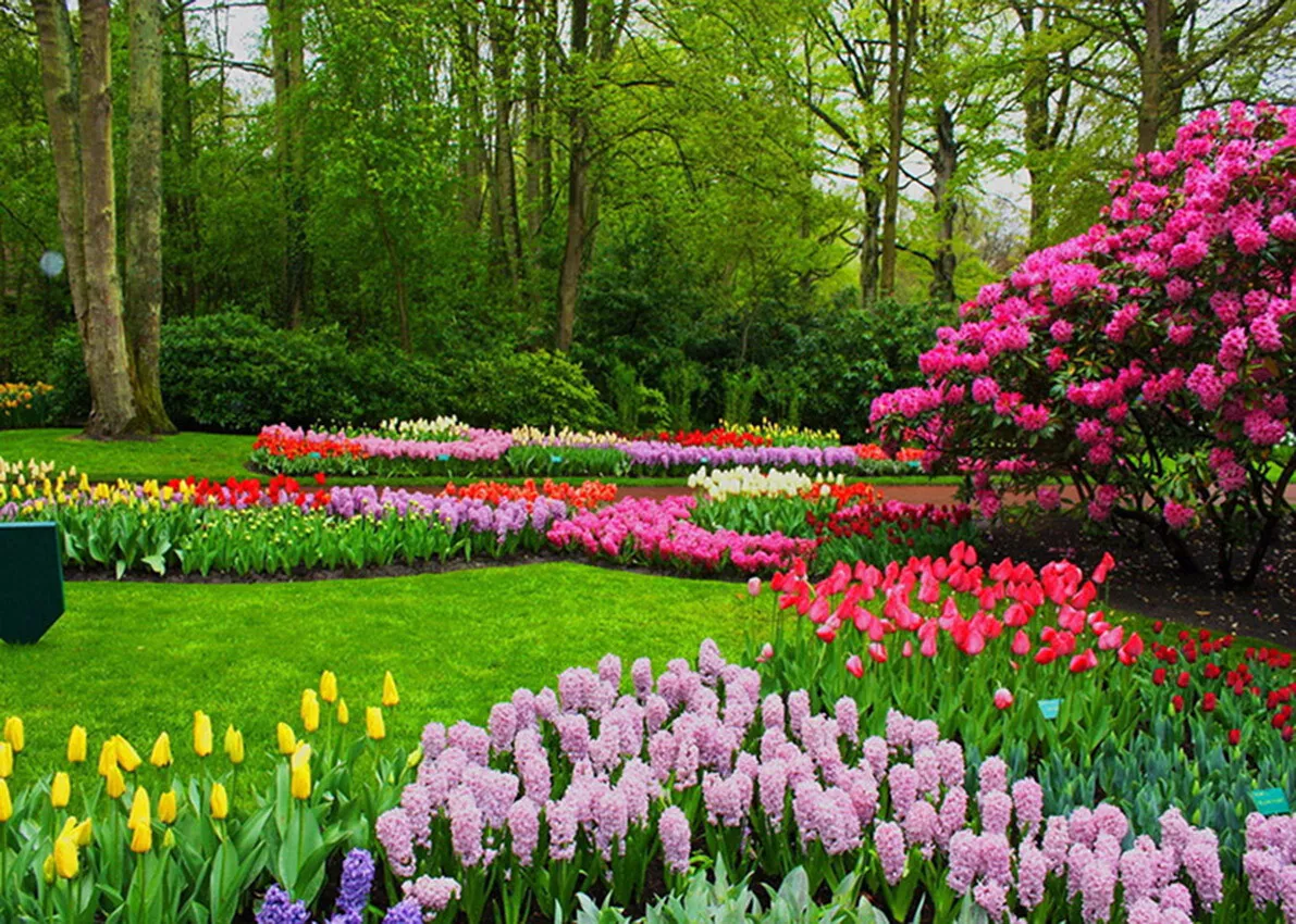 Spring Nature Landscape Garden Park Backdrops For, 41% OFF