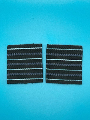 RAF Royal Air Force Group Captain (GP Capt) Rangfolien (Paar)