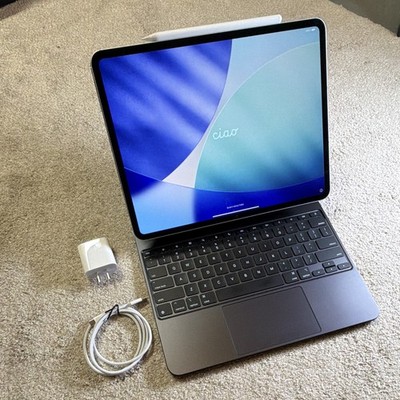 Apple iPad Pro 13  M4 1TB Silver 5G A2926 MVXX3LL/A + Keyboard + Pencil Pro