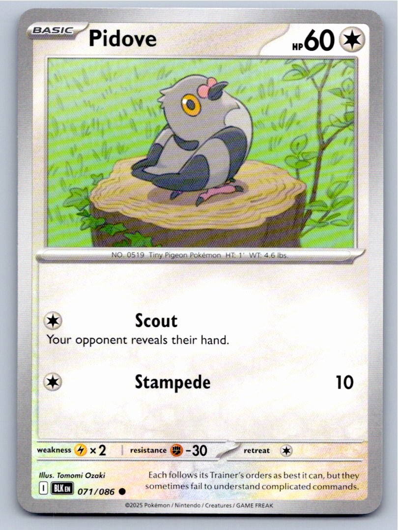 2025 POKEMON PIDOVE BLACK BOLT 071/086 COMMON NM A14514 FREE S&H