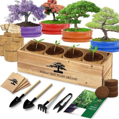 Bonsai Tree Kit, Bonsai Starter Kit with Seeds & Tools, Tree Live Plants  Indo... | eBay
