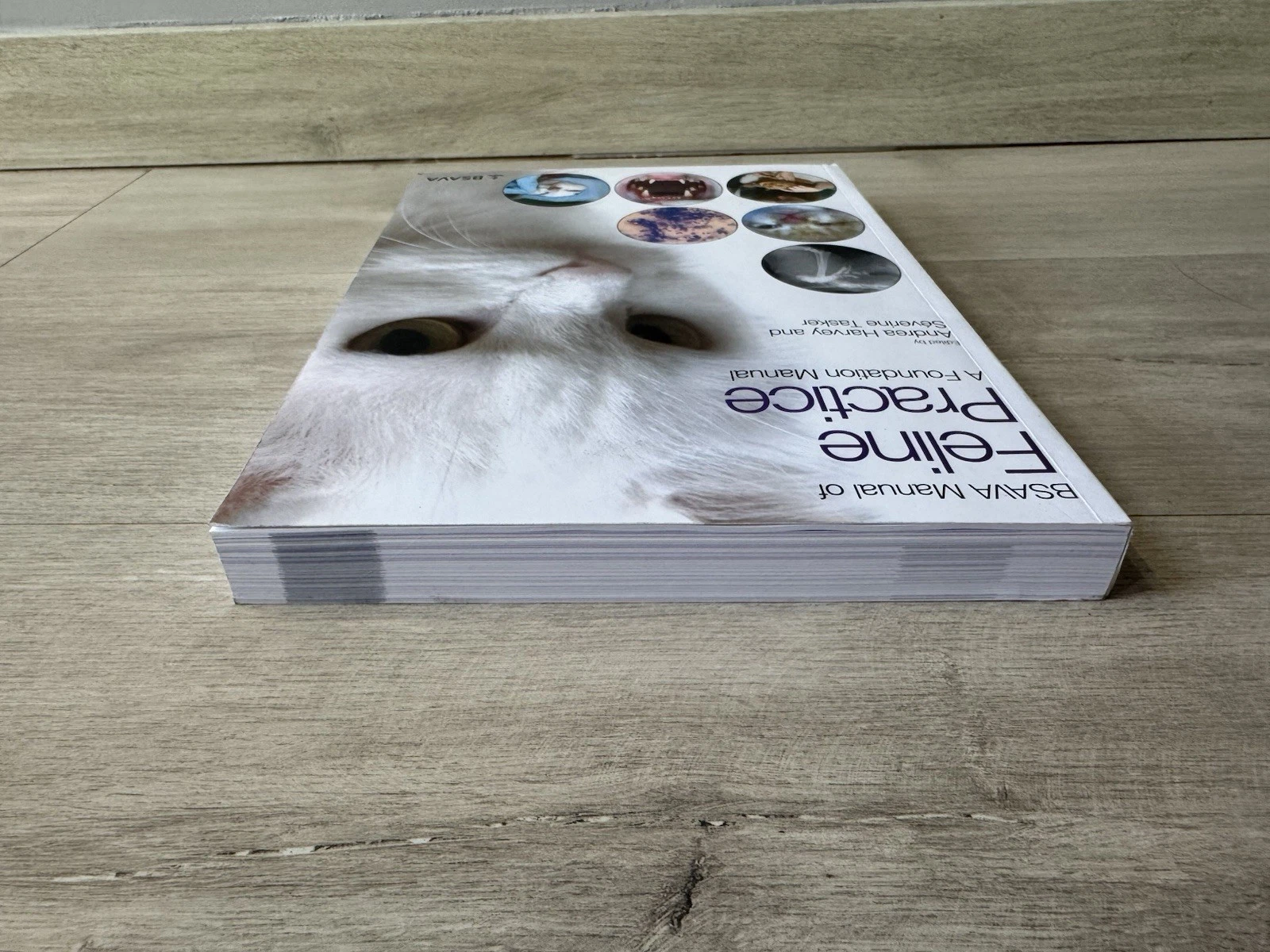 BSAVA Manual of Feline Practice: A Foundation Manual by Severine Tasker 5