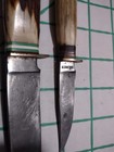 Vintage Solingen Germany Eagle Head Stag Handle Fixed Blade German Knife — photo 6