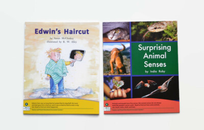 FOUNTAS & PINNELL Leveled Readers Level K Guided Reading Books Grades 1 & 2
