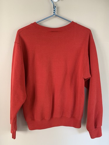 Vintage 1990s Chicago Bulls Crew Neck Sweatshirt Lee Sport Nutmeg EUC LARGE - Picture 8 of 10