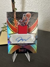 2024-25 Panini Select - Rookie Jersey Autographs Ja'Kobe Walter #RJA-JAK /199...