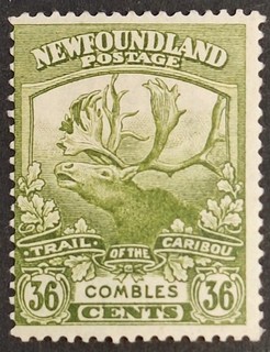 Newfoundland 1919 "Caribou" 36c. Sage Green Stamp Mh