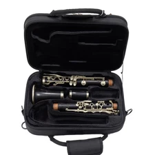 Buffet Crampon R13 Professional Bb Clarinet SN 87839 EXCELLENT