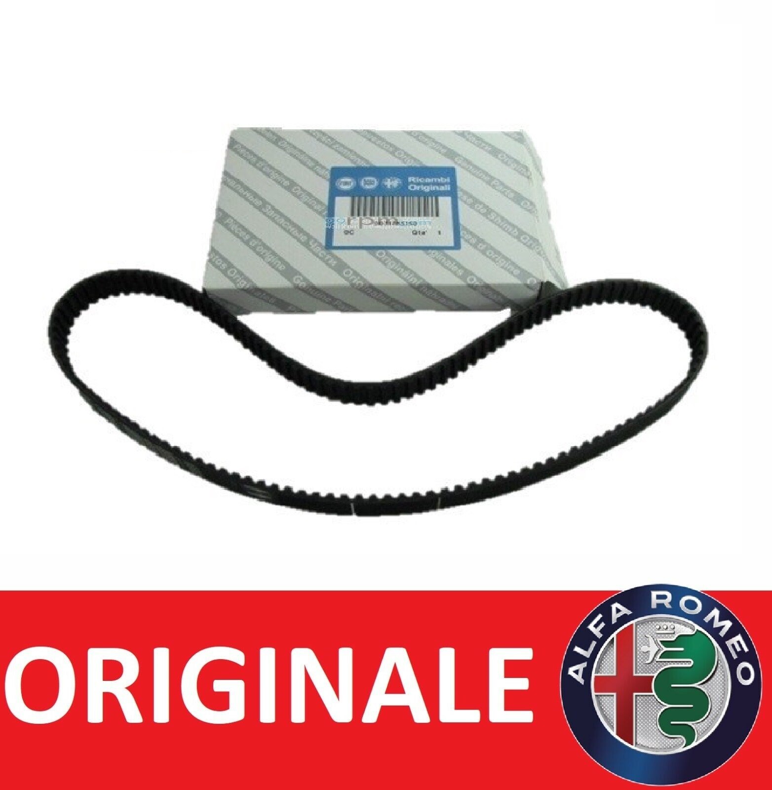 Cinghia Di Trasmissione Elastica Poly-Vee Originale Beko 1171 5PJE (2907260600)