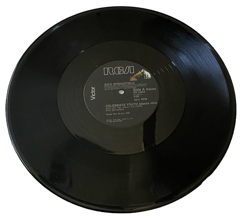 Rick Springfield Celebrate Youth VINYL RECORD  ALBUM  PD-14052 Rock 45RPM Single - Image 3 of 3
