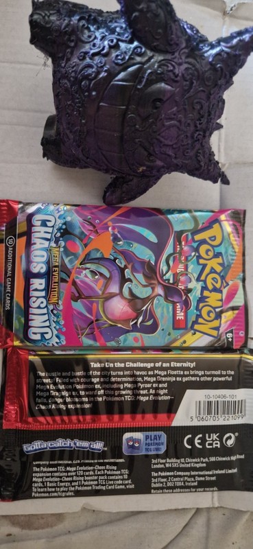 Pokemon TCG Chaos Rising Booster Pack x1 Sealed