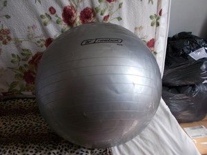 reebok exercise ball