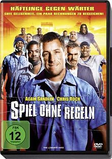 Spiel ohne Regeln von Peter Segal | DVD | Zustand gut