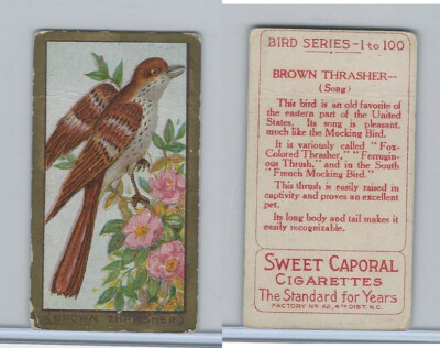 tobacco bird 187: MARTIN BROTHERS POTTERY, Wally-bird tobacco jar < American & European Art Pottery, 24 bird with a cigarette Birds