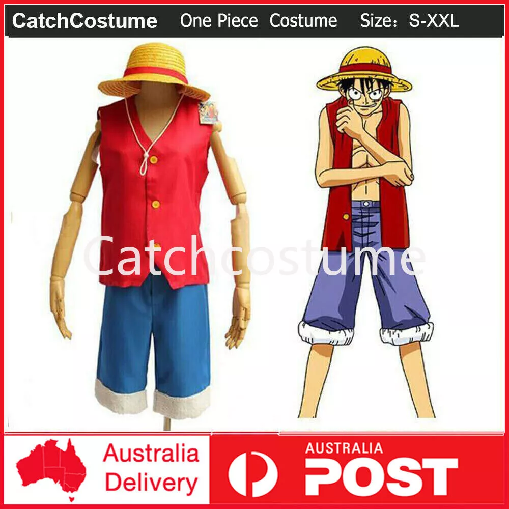 Luffy costume from this Halloween! : r/OnePiece