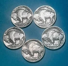 BUFFALO INDIAN Head Nickel FULL DATES  All Different  3 Mints  3 Years  Lot of 5
