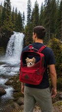Kurgo Nomad Dog Carrier Backpack Small Dogs and Cats, Red NWT