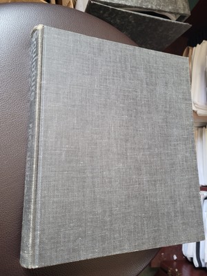 Sculpture 19th & 20th Centuries Fred Licht Many Photos 1st Hb No Dj
